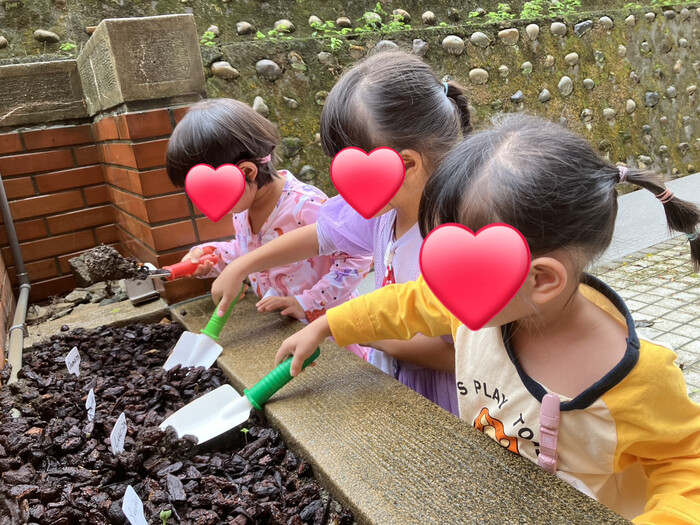 小朋友們拿著鏟子開心種植小苗，化身可愛的小園丁圖片